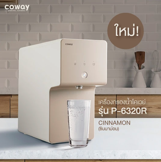 รุ่น Cinnamon
